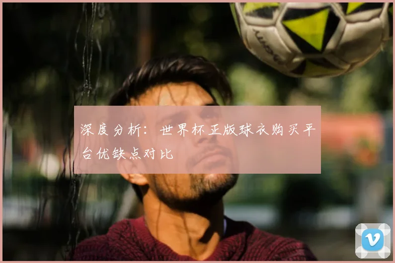 深度分析:世界杯正版球衣购买平台优缺点对比