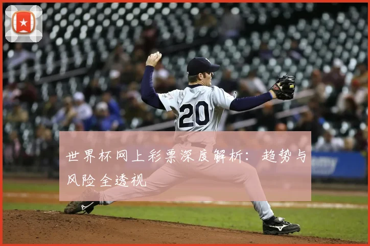 世界杯网上彩票深度解析:趋势与风险全透视