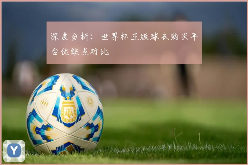 深度分析：世界杯正版球衣购买平台优缺点对比