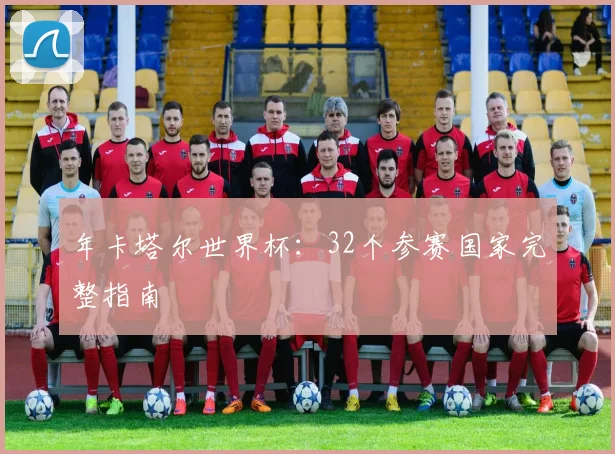 年卡塔尔世界杯:32个参赛国家完整指南