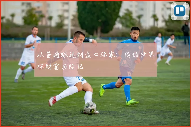 从普通球迷到盘口玩家：我的世界杯财富历险记