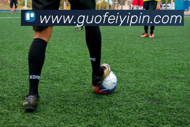 k1体育官方网登录入口发展历程